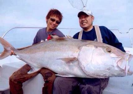 夢見釣到很多魚|周公解夢之（夢見魚）